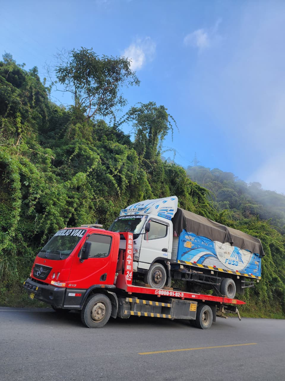Grúa trasladando un camión por una carretera rodeada de vegetación